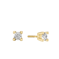 Eternity Ørestikker 14 Karat Guld Med 2x0,40ct W/SI Diamant