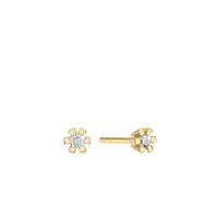Eternity Ørestikker 14 Karat Guld Med 2x0,10ct W/SI Diamant