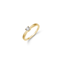 Eternity Ring 14 Karat Guld Med 0,20ct W/SI Diamant