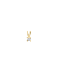 Eternity Vedhæng 14 Karat Guld Med 0,10ct W/SI Diamant