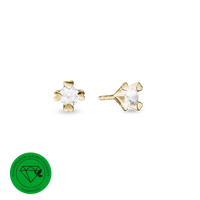 Mary Ørestikker 14 Karat Guld Med 2x0,50ct W/VS Labgrown Diamant