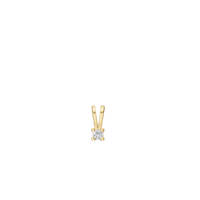 Eternity Vedhæng 8 Karat Guld Med 0,05ct W/SI Diamant